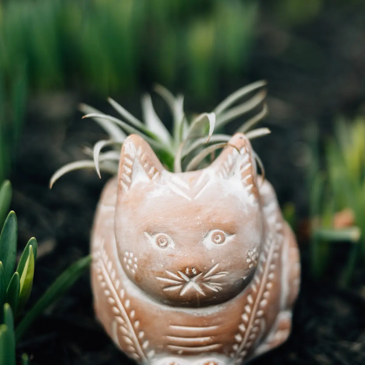 Terracotta Chonky Cat | The Pot City